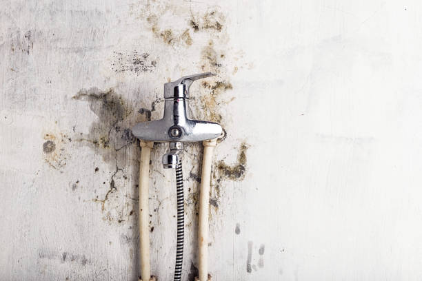 Best Emergency Mold Removal  in Arapahoe, NE