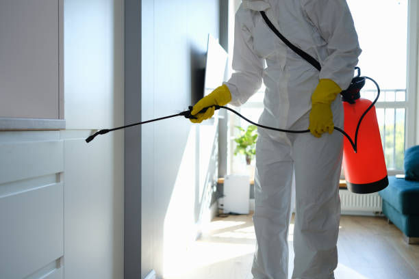 Best Local Mold Removal Service  in Arapahoe, NE